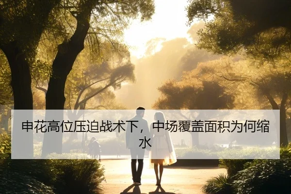 申花高位压迫战术下，中场覆盖面积为何缩水（IMSportsChina）